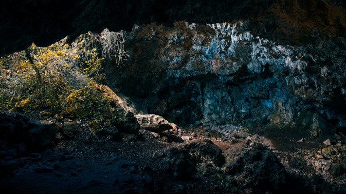 Nature. Desktop wallpaper
