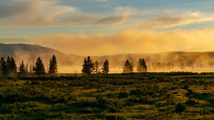 Nature. Desktop wallpaper