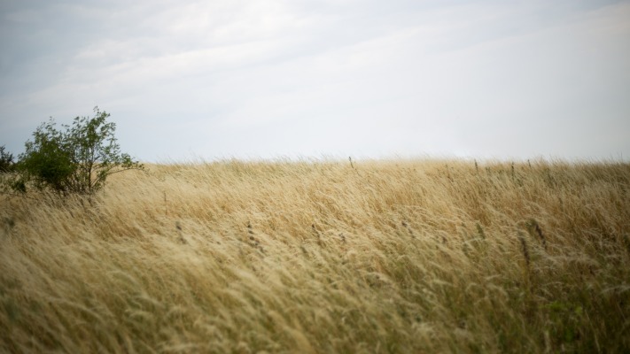 Nature. Desktop wallpaper