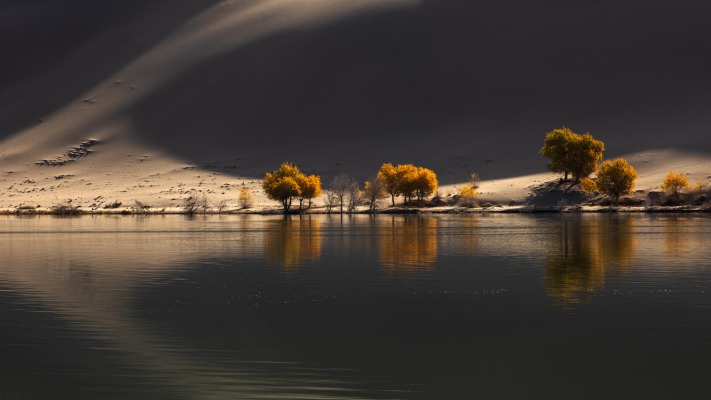 Nature. Desktop wallpaper