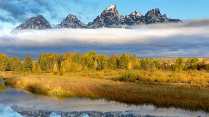 Nature. Desktop wallpaper
