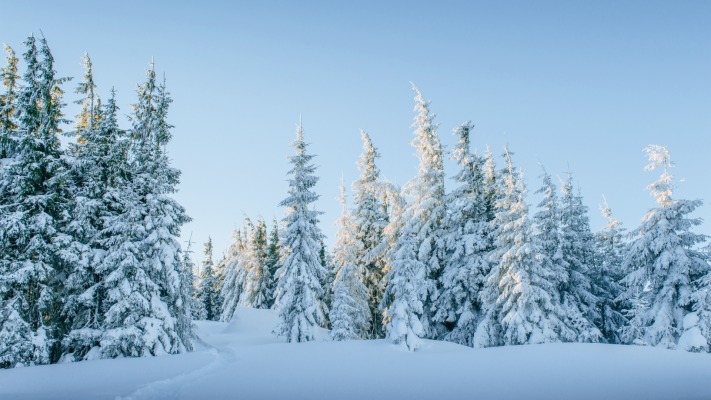 Nature. Desktop wallpaper