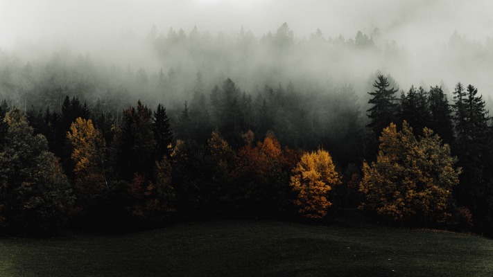Nature. Desktop wallpaper