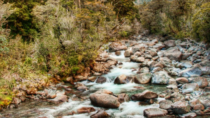 Nature. Desktop wallpaper