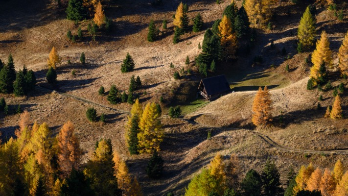 Nature. Desktop wallpaper