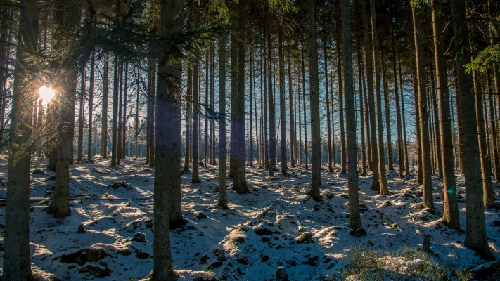 Nature. Desktop wallpaper