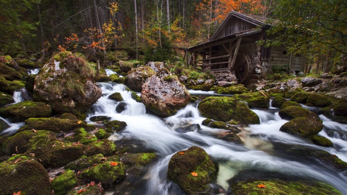 Nature. Desktop wallpaper