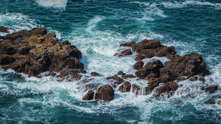 Nature. Desktop wallpaper