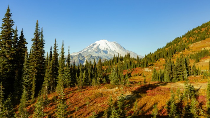 Nature. Desktop wallpaper