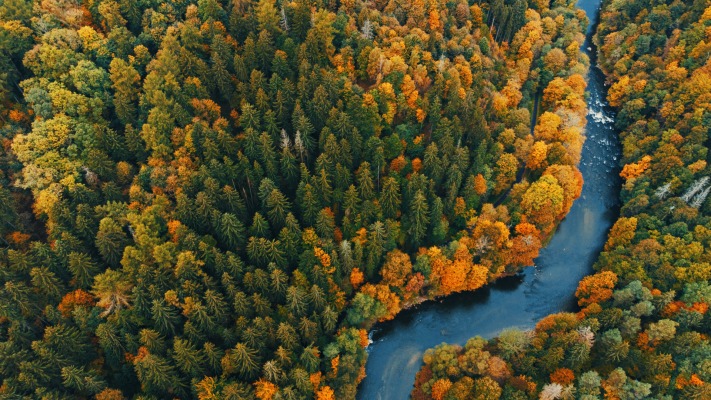 Nature. Desktop wallpaper