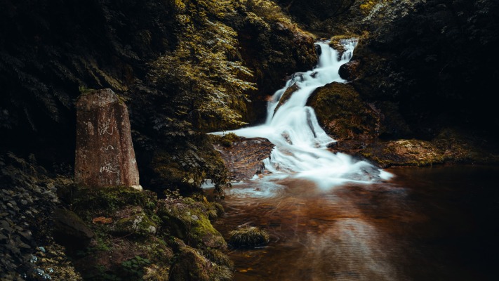 Nature. Desktop wallpaper