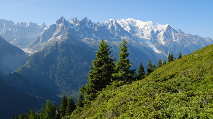 Nature. Desktop wallpaper