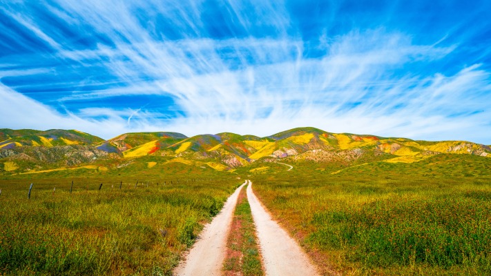 Nature. Desktop wallpaper