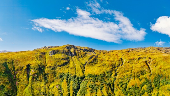 Nature. Desktop wallpaper