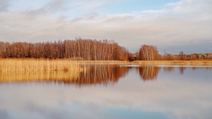 Nature. Desktop wallpaper