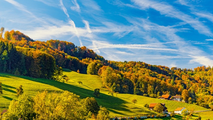 Nature. Desktop wallpaper