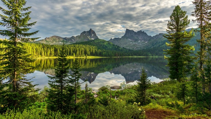 Nature. Desktop wallpaper