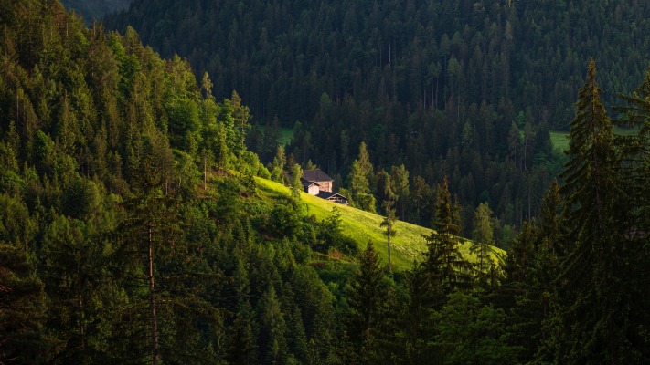 Nature. Desktop wallpaper