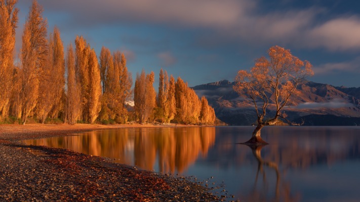 Nature. Desktop wallpaper
