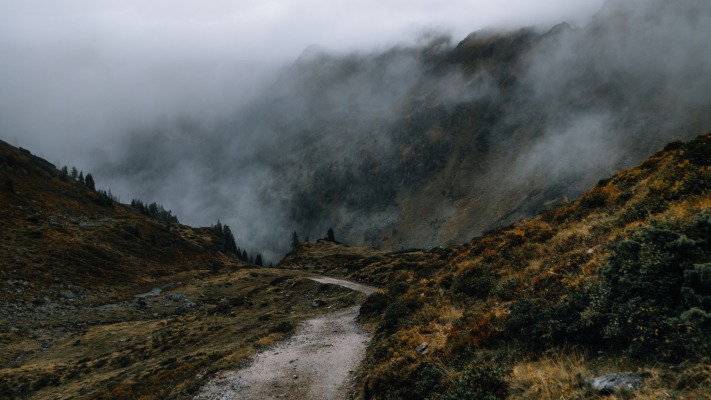 Nature. Desktop wallpaper