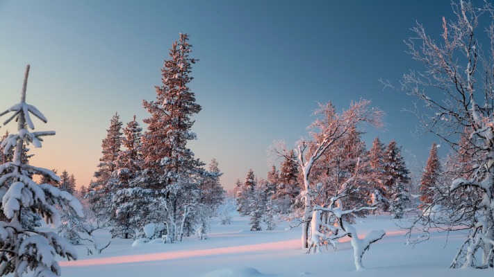 Nature. Desktop wallpaper