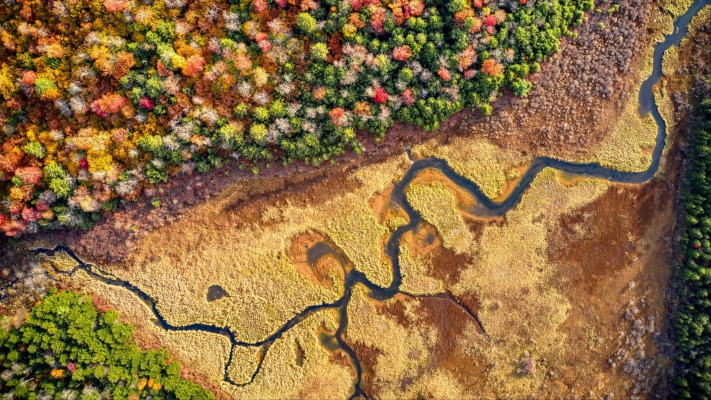Nature. Desktop wallpaper