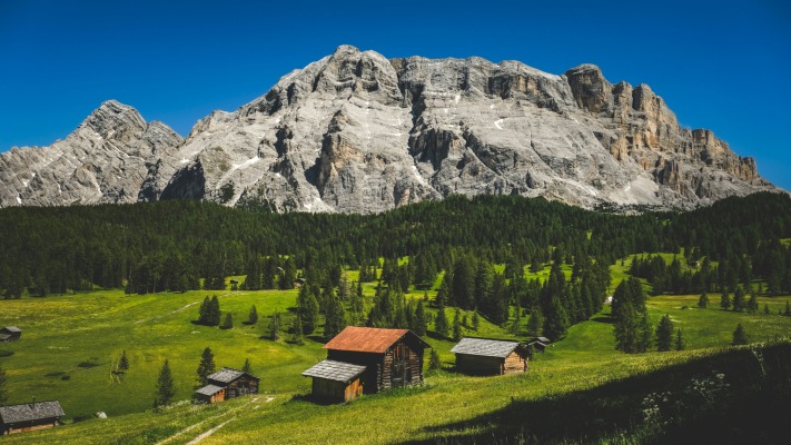 Nature. Desktop wallpaper