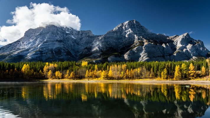 Nature. Desktop wallpaper