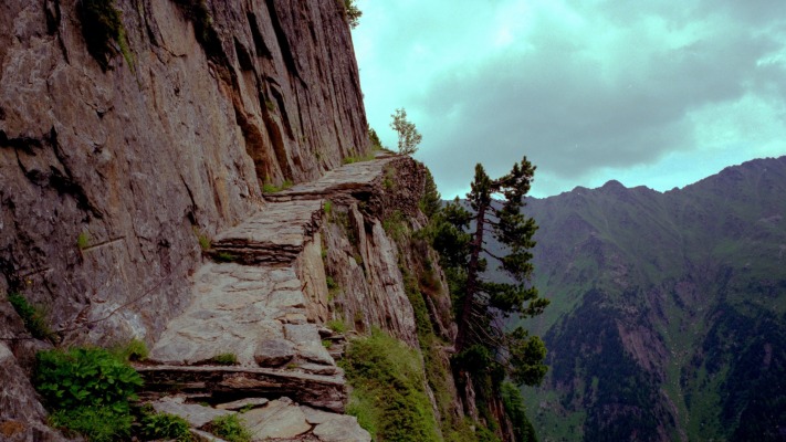 Nature. Desktop wallpaper