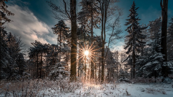 Nature. Desktop wallpaper