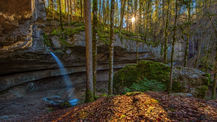 Nature. Desktop wallpaper