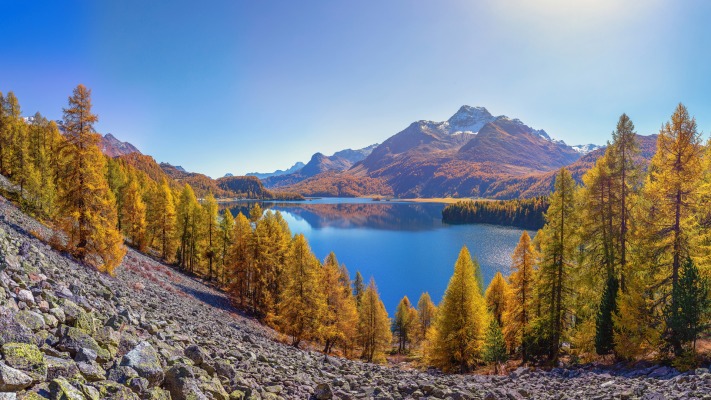 Nature. Desktop wallpaper