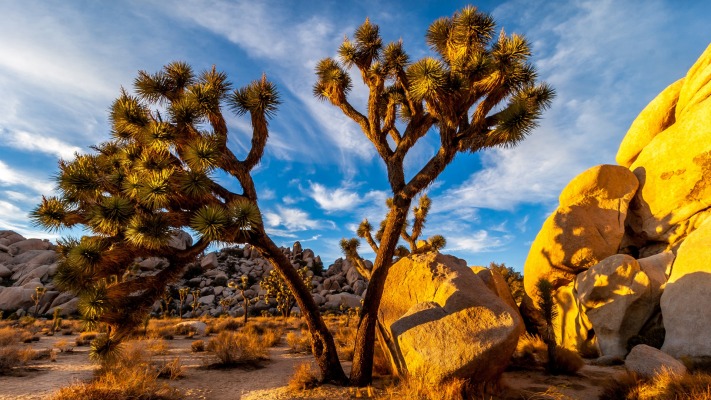 Nature. Desktop wallpaper