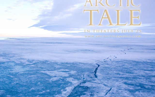 Arctic Tale. Desktop wallpaper