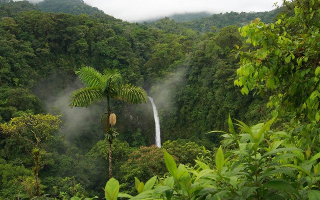 Waterfalls. Desktop wallpaper