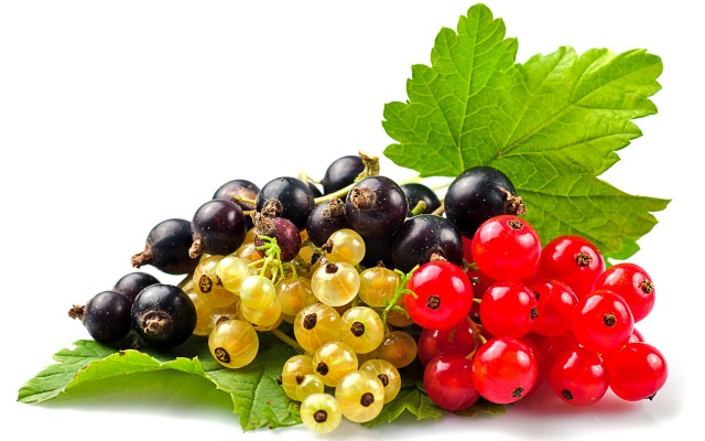 Fruits. Desktop wallpaper