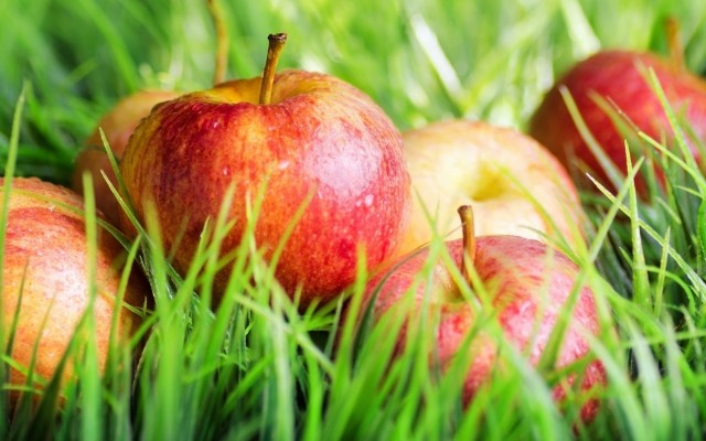 Fruits. Desktop wallpaper