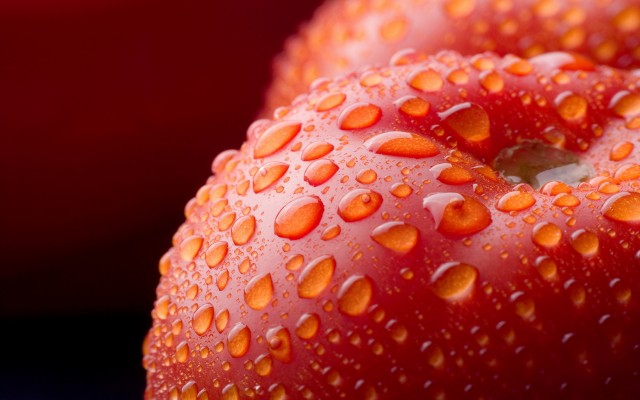 Vegetables. Desktop wallpaper