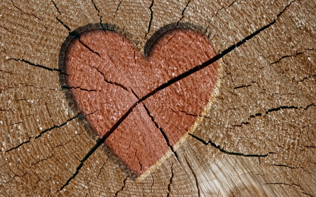 Love. Desktop wallpaper