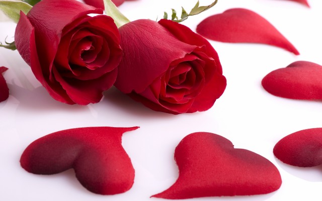 Love. Desktop wallpaper
