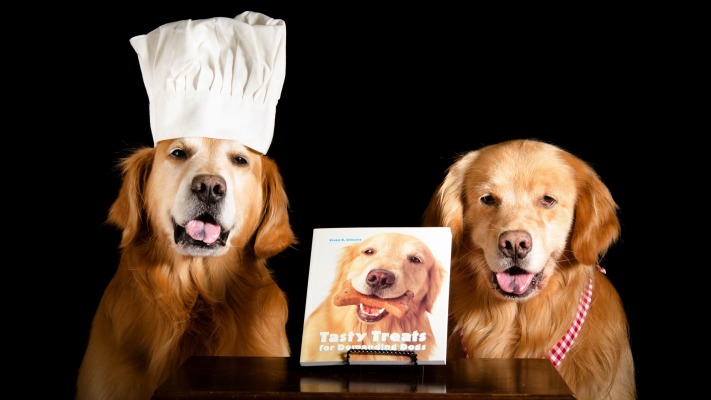 Dogs. Desktop wallpaper