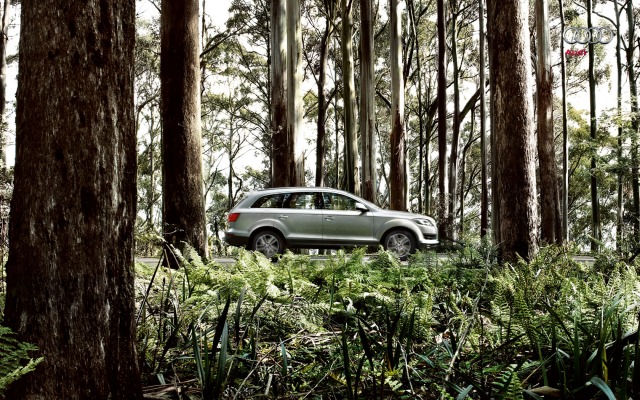 Audi Q7 2013. Desktop wallpaper