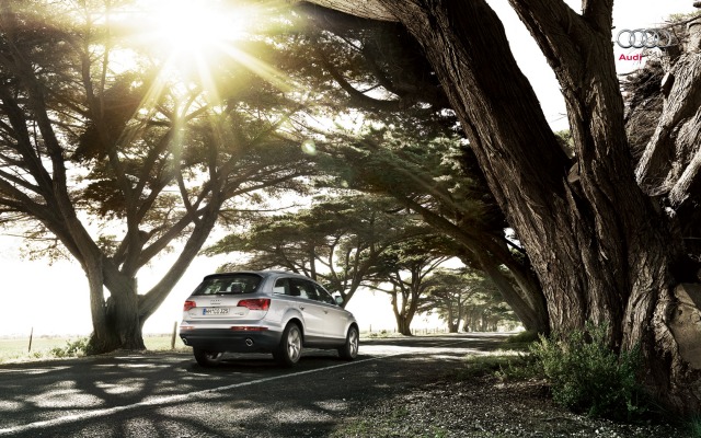 Audi Q7 2013. Desktop wallpaper