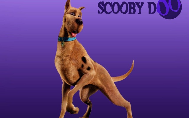 Scooby-Doo. Desktop wallpaper