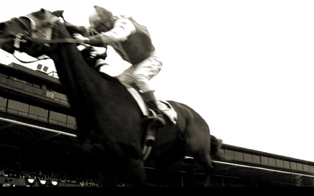 Seabiscuit. Desktop wallpaper