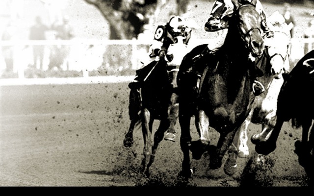 Seabiscuit. Desktop wallpaper