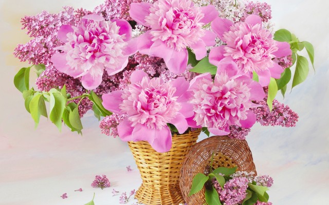 Flowers. Desktop wallpaper