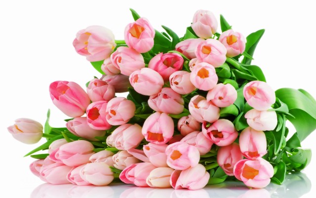 Flowers. Desktop wallpaper