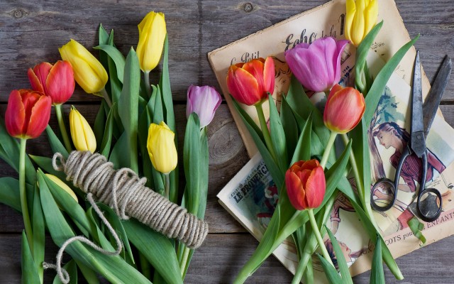 Flowers. Desktop wallpaper