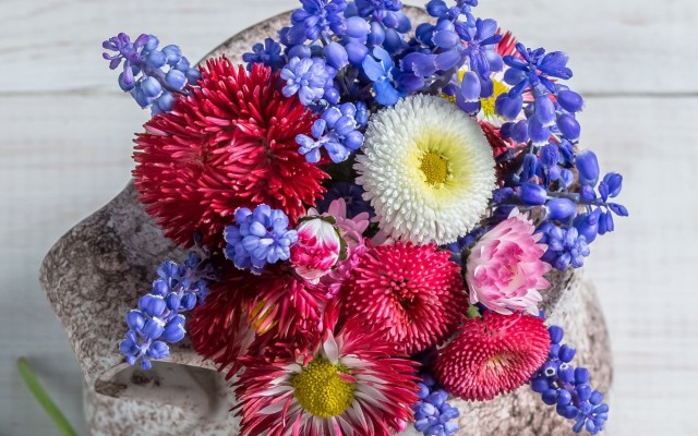 Flowers. Desktop wallpaper